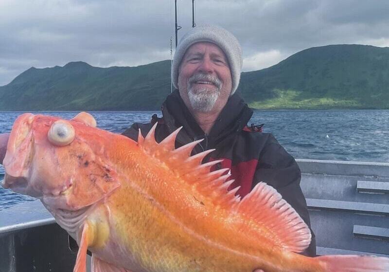 Szálloda Driftwood Wilderness Lodge