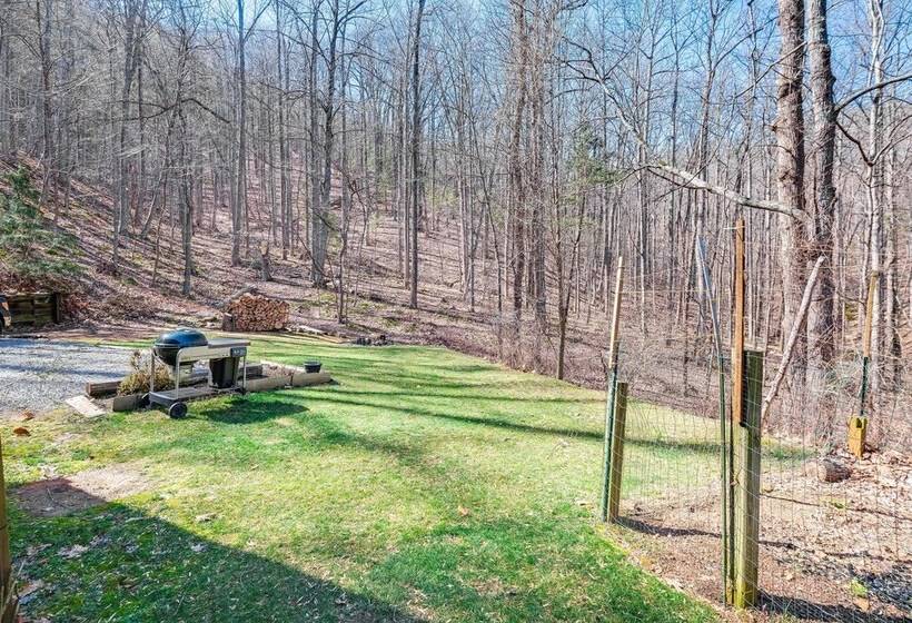 Pet Friendly Roanoke Home W/ Fire Pit + Grill!