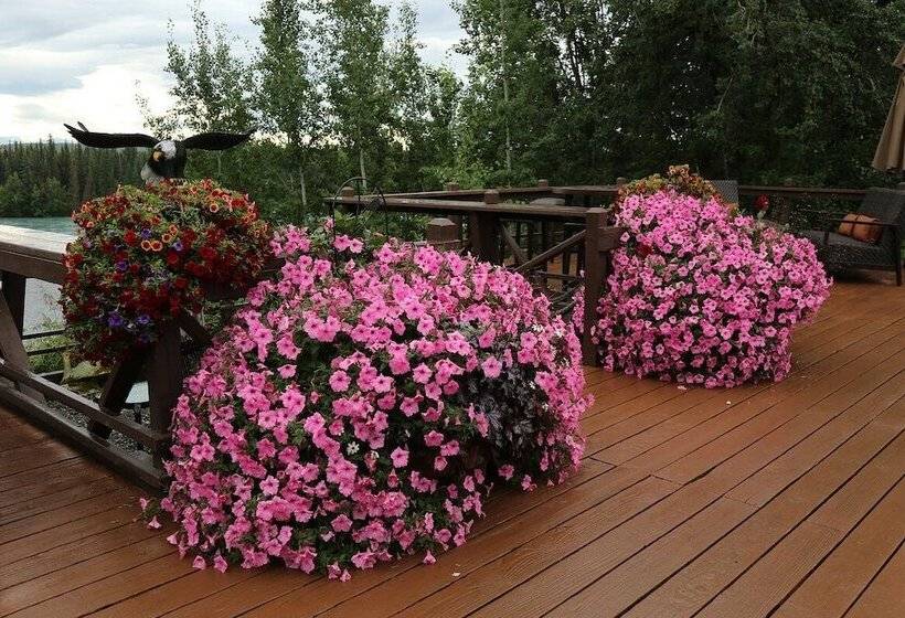 酒店 Great Alaska Adventure Lodge