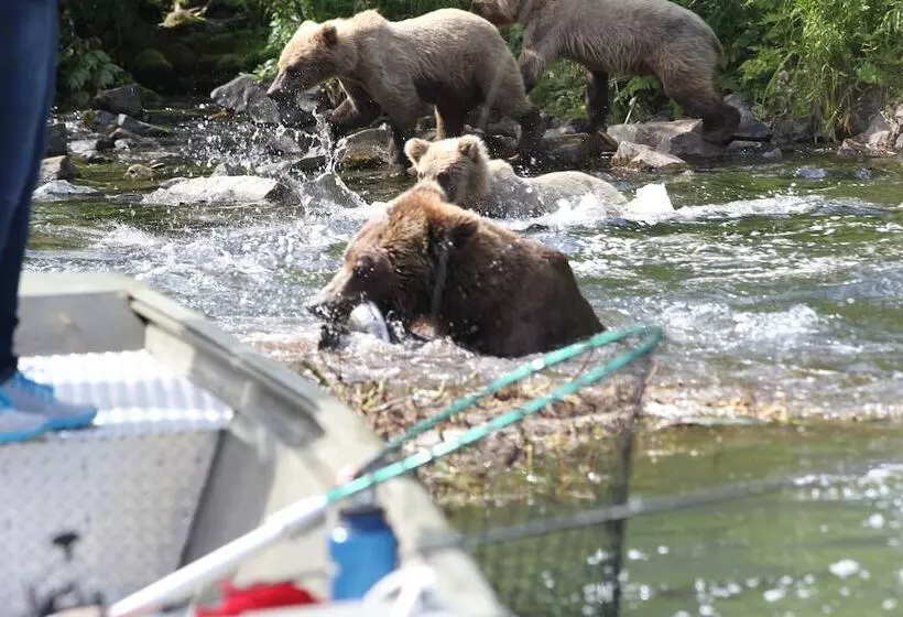 ホテル Great Alaska Adventure Lodge