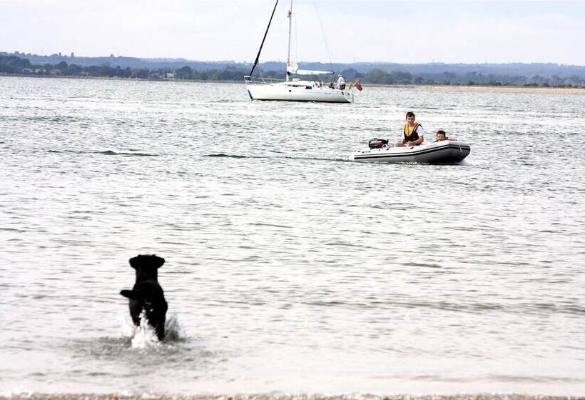 Little Orchard Bed And Breakfast Chichester