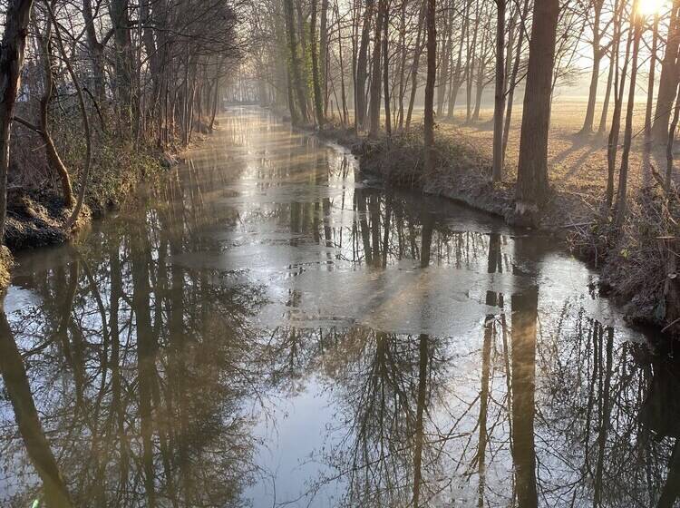 بنسيون Haus Stenzinger