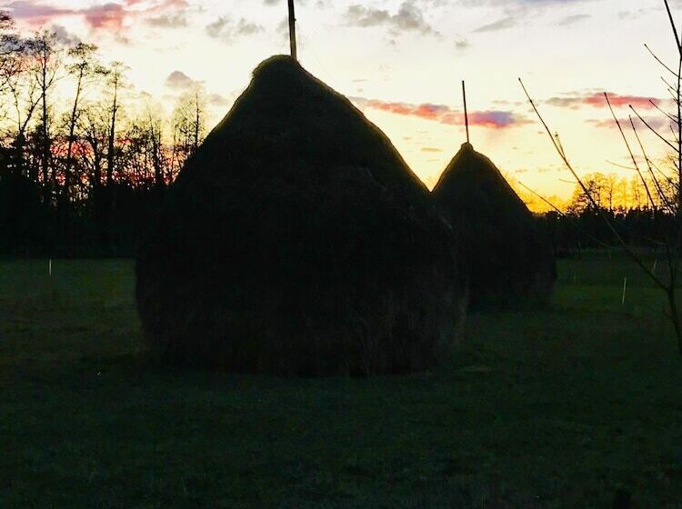 بنسيون Haus Stenzinger