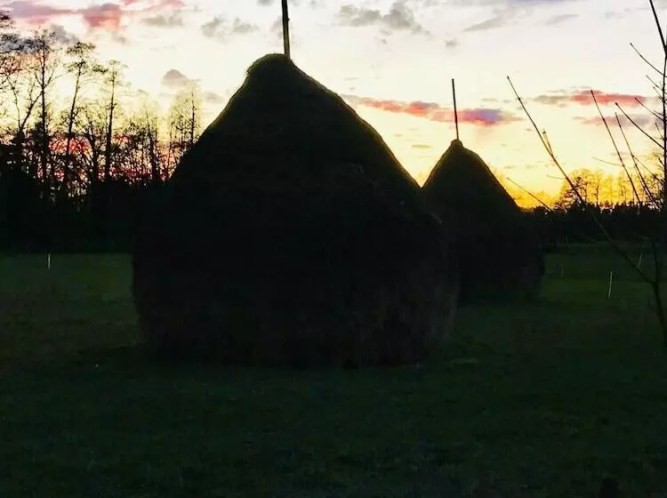 ペンション Haus Stenzinger