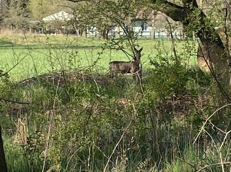 بنسيون Haus Stenzinger