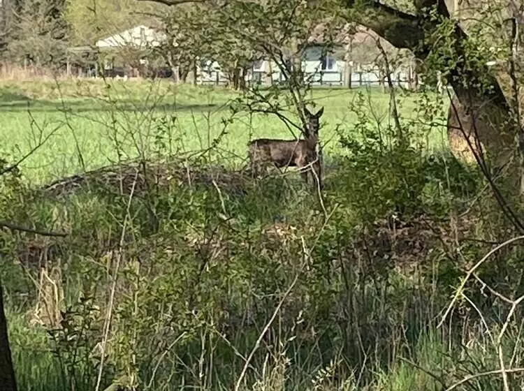 ペンション Haus Stenzinger