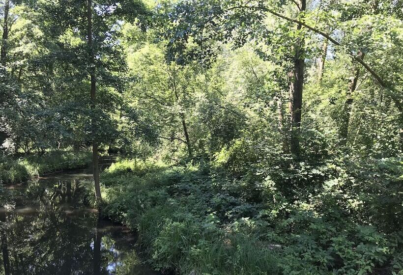 بنسيون Haus Stenzinger