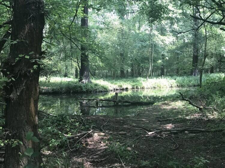 بنسيون Haus Stenzinger