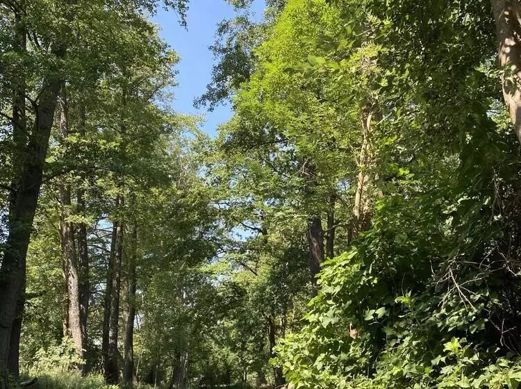 ペンション Haus Stenzinger