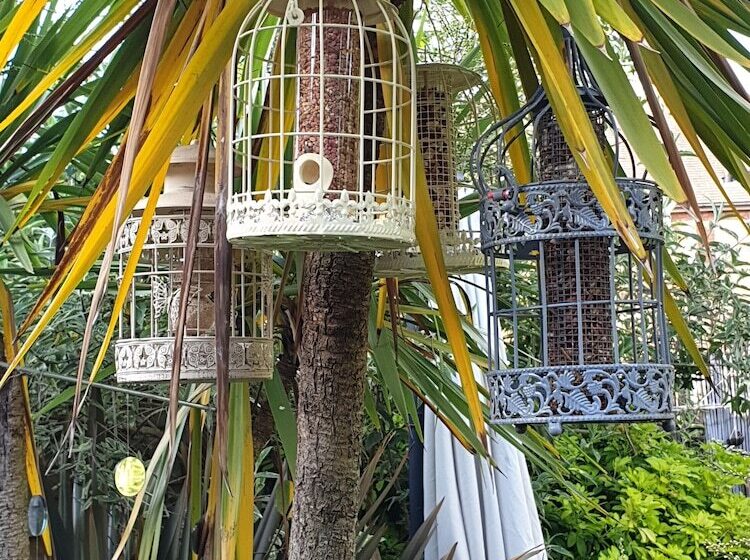 ペンション Tropical Garden Oasis Rooms