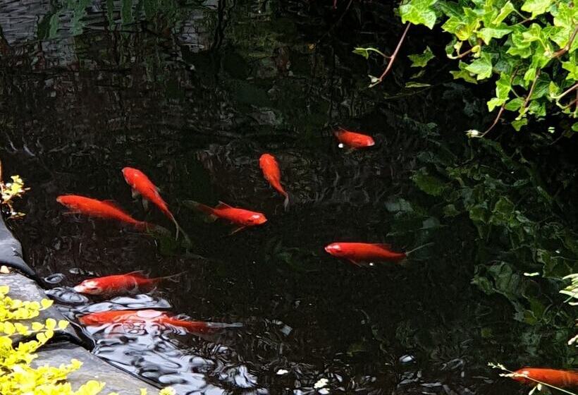 ペンション Tropical Garden Oasis Rooms