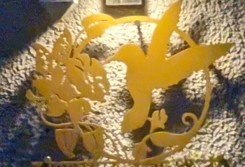 ペンション Tropical Garden Oasis Rooms