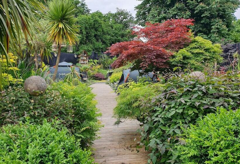 ペンション Tropical Garden Oasis Rooms