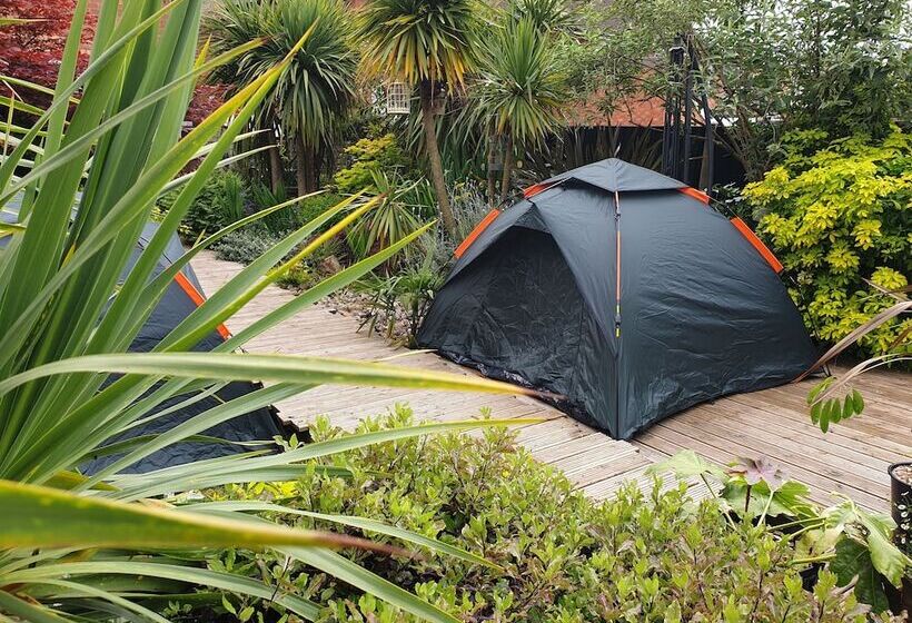 ペンション Tropical Garden Oasis Rooms