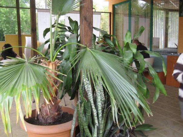 בית מלון כפרי Mix