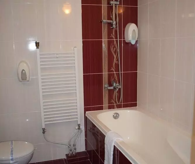 ホテル Velingrad Balneo