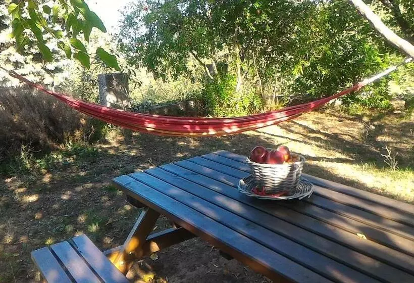 B&b Meladormo