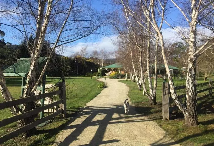 Green Gables B&b