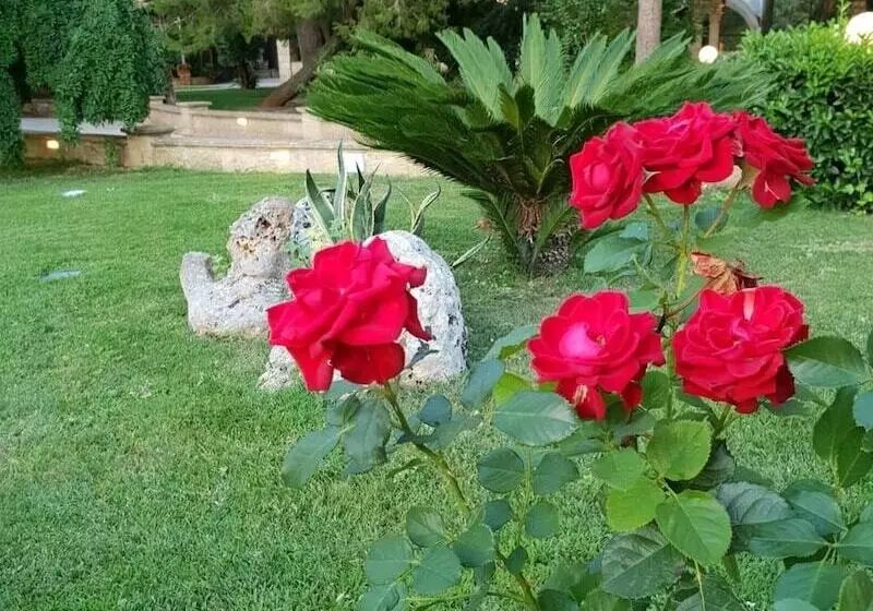 هتل Antica Masseria Martuccio