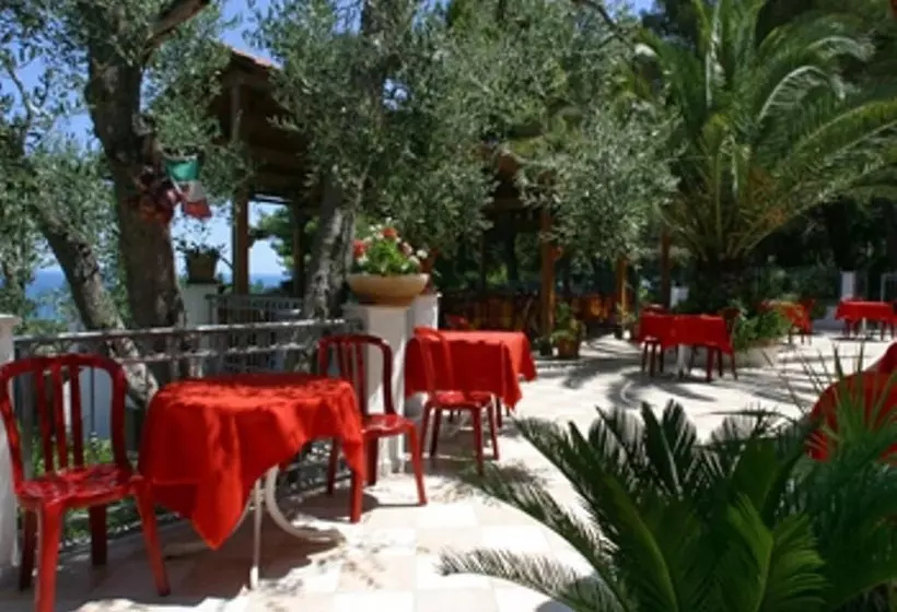 ホテル Albergo La Collinetta