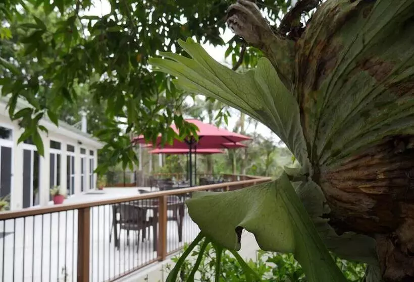Kondalilla Eco Resort