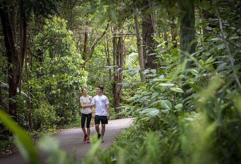 Kondalilla Eco Resort