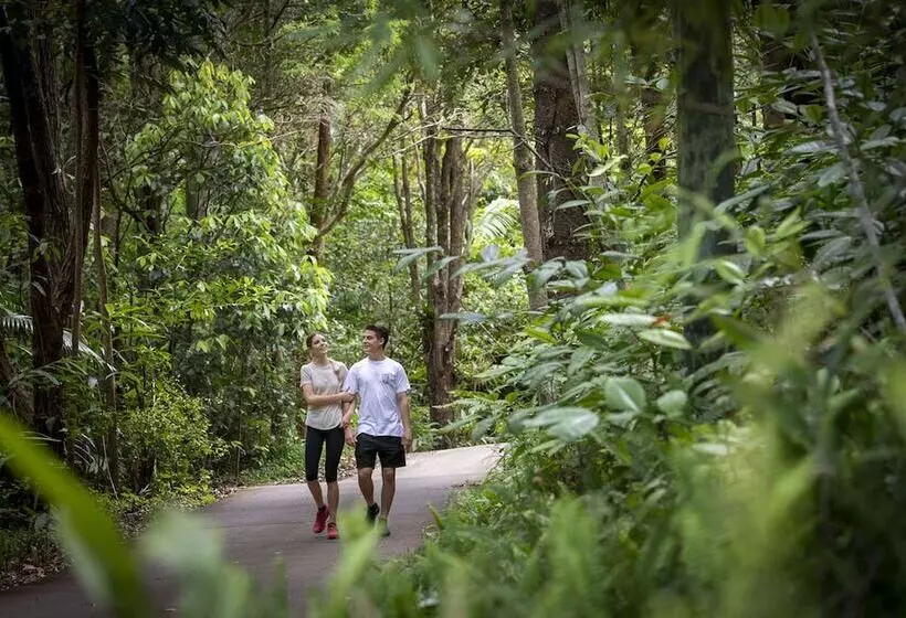 Kondalilla Eco Resort