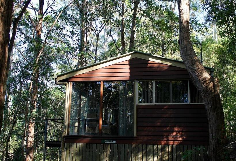 Kondalilla Eco Resort