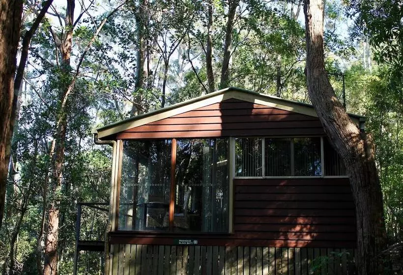 Kondalilla Eco Resort
