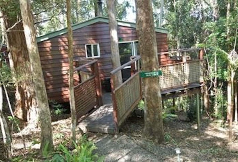 Kondalilla Eco Resort