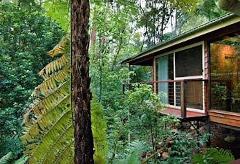 Kondalilla Eco Resort