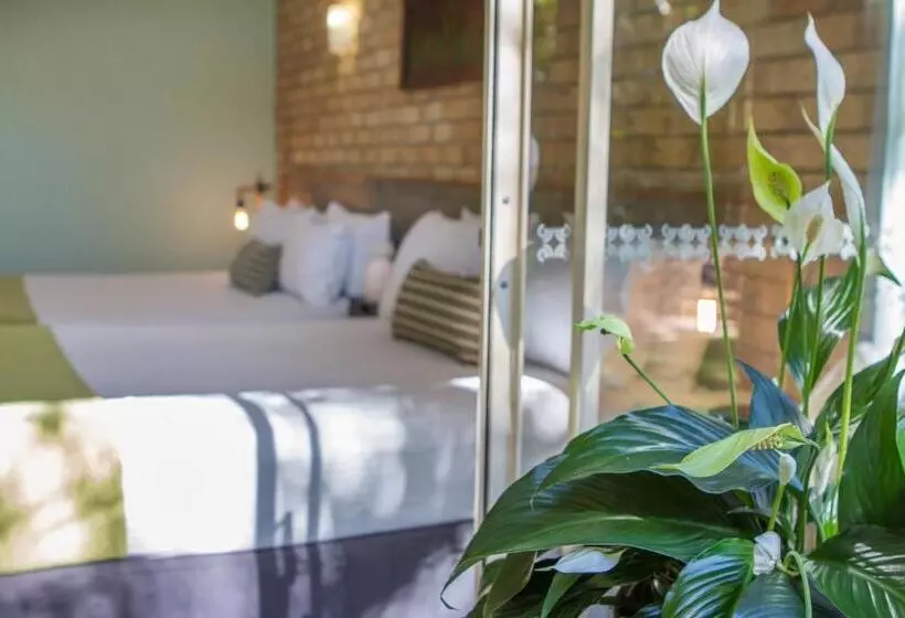 Motelli Sunshine Coast Motor Lodge