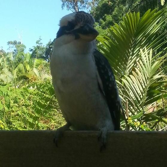 מוטל Tropic Oasis