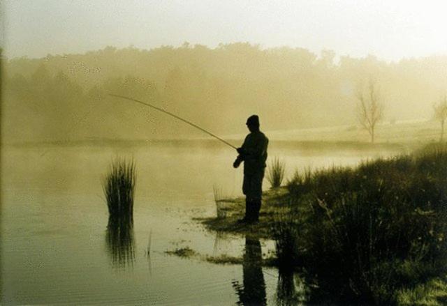 리조트 Clover Cottage Country Retreat