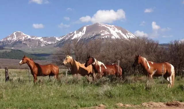 Aamiaismajoitus (B&B) Mount Peale Country Inn