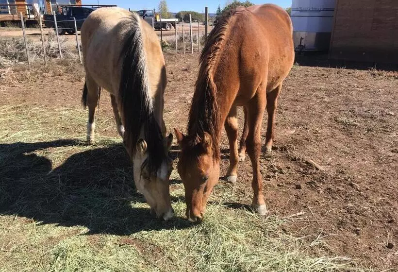 Aamiaismajoitus (B&B) Mount Peale Country Inn