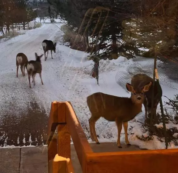 Aamiaismajoitus (B&B) Mount Peale Country Inn