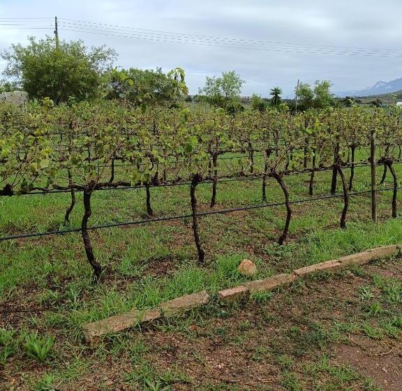 膳宿费 De Kleine Kelder