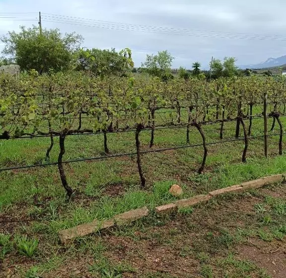 Majatalo De Kleine Kelder