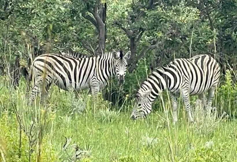 پانسیون Jade Mountain Cottage 玉山小屋