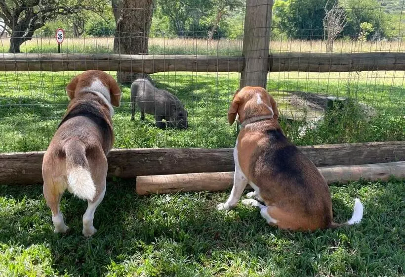 پانسیون Jade Mountain Cottage 玉山小屋