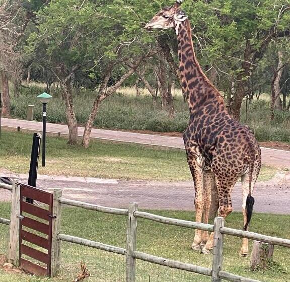 ペンション Jade Mountain Cottage 玉山小屋