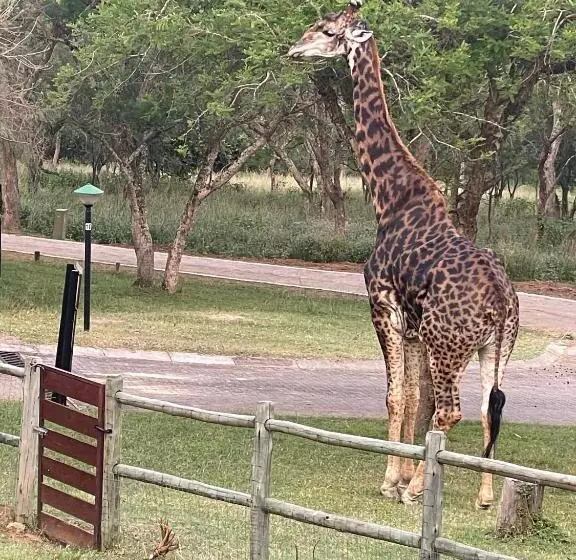 پانسیون Jade Mountain Cottage 玉山小屋