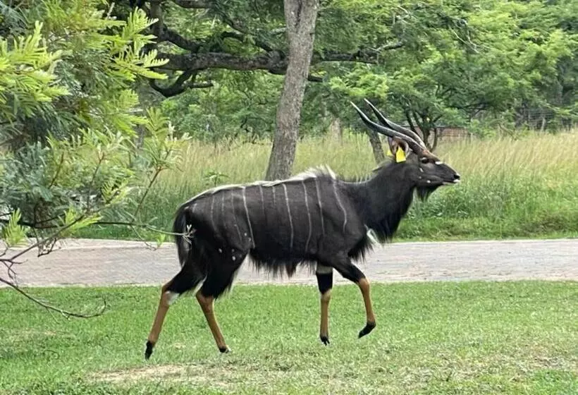 پانسیون Jade Mountain Cottage 玉山小屋