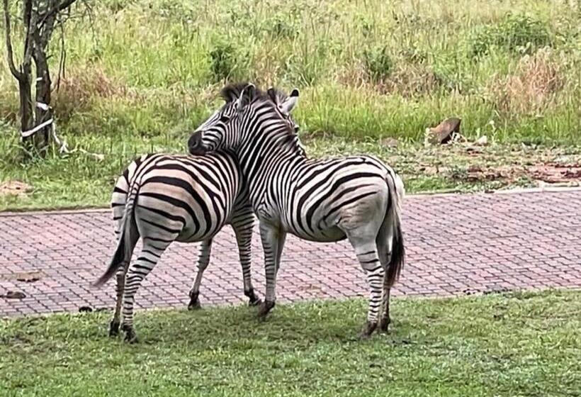ペンション Jade Mountain Cottage 玉山小屋