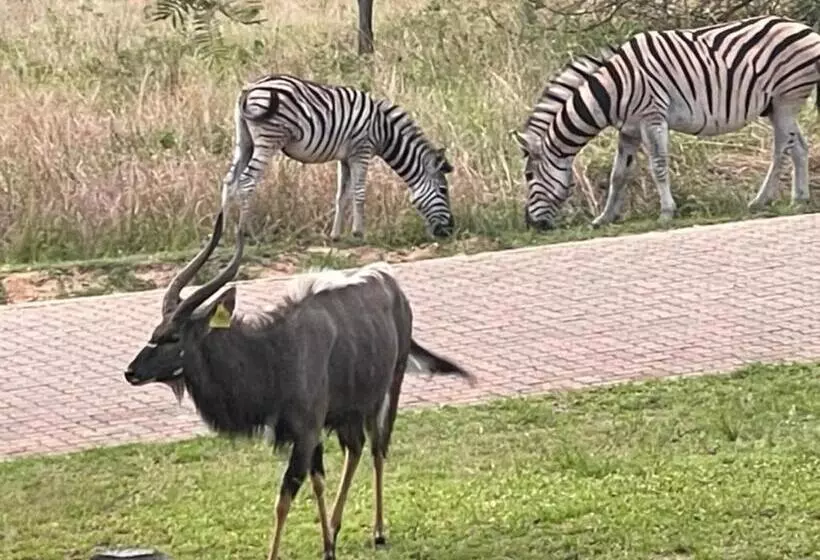 پانسیون Jade Mountain Cottage 玉山小屋