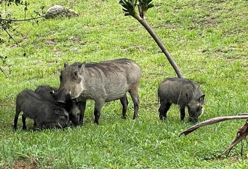 ペンション Jade Mountain Cottage 玉山小屋