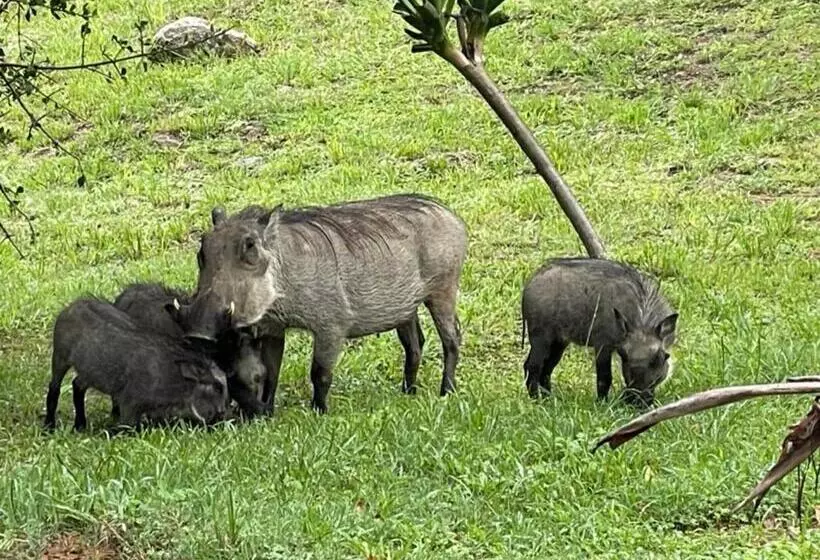 پانسیون Jade Mountain Cottage 玉山小屋
