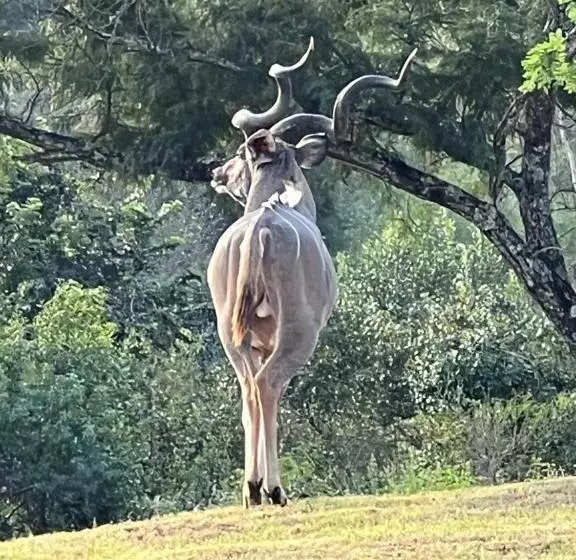 پانسیون Jade Mountain Cottage 玉山小屋