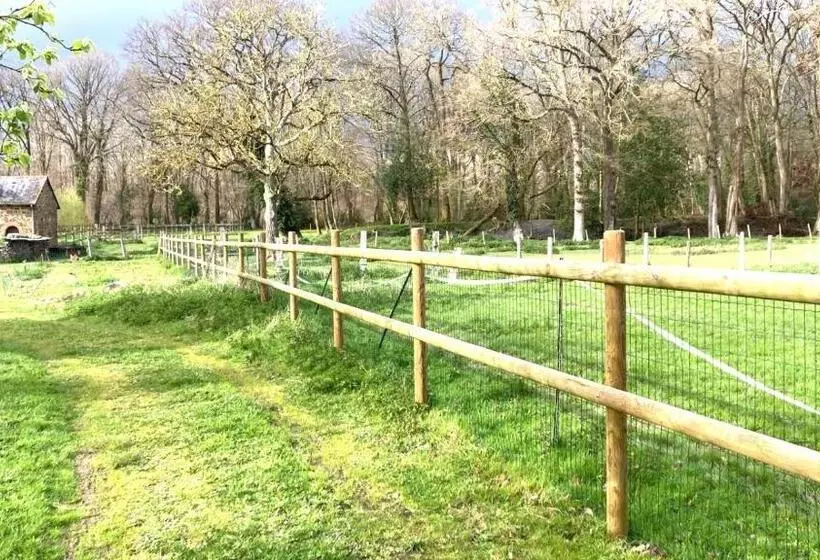 ベッドアンドブレックファースト La Demeure Romantique